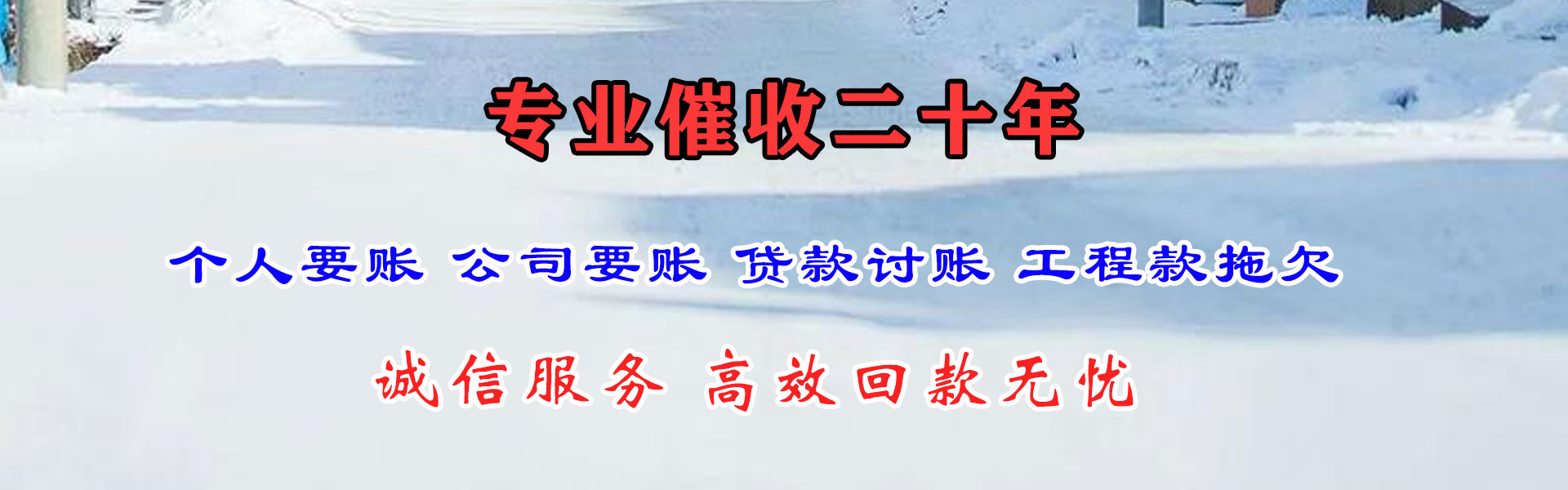 龙泉清帐公司